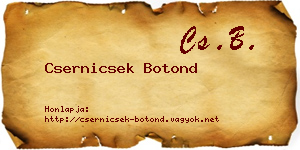 Csernicsek Botond névjegykártya